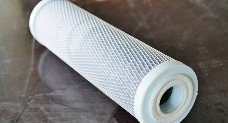 Which Water Filter Removes Fluoride from Water