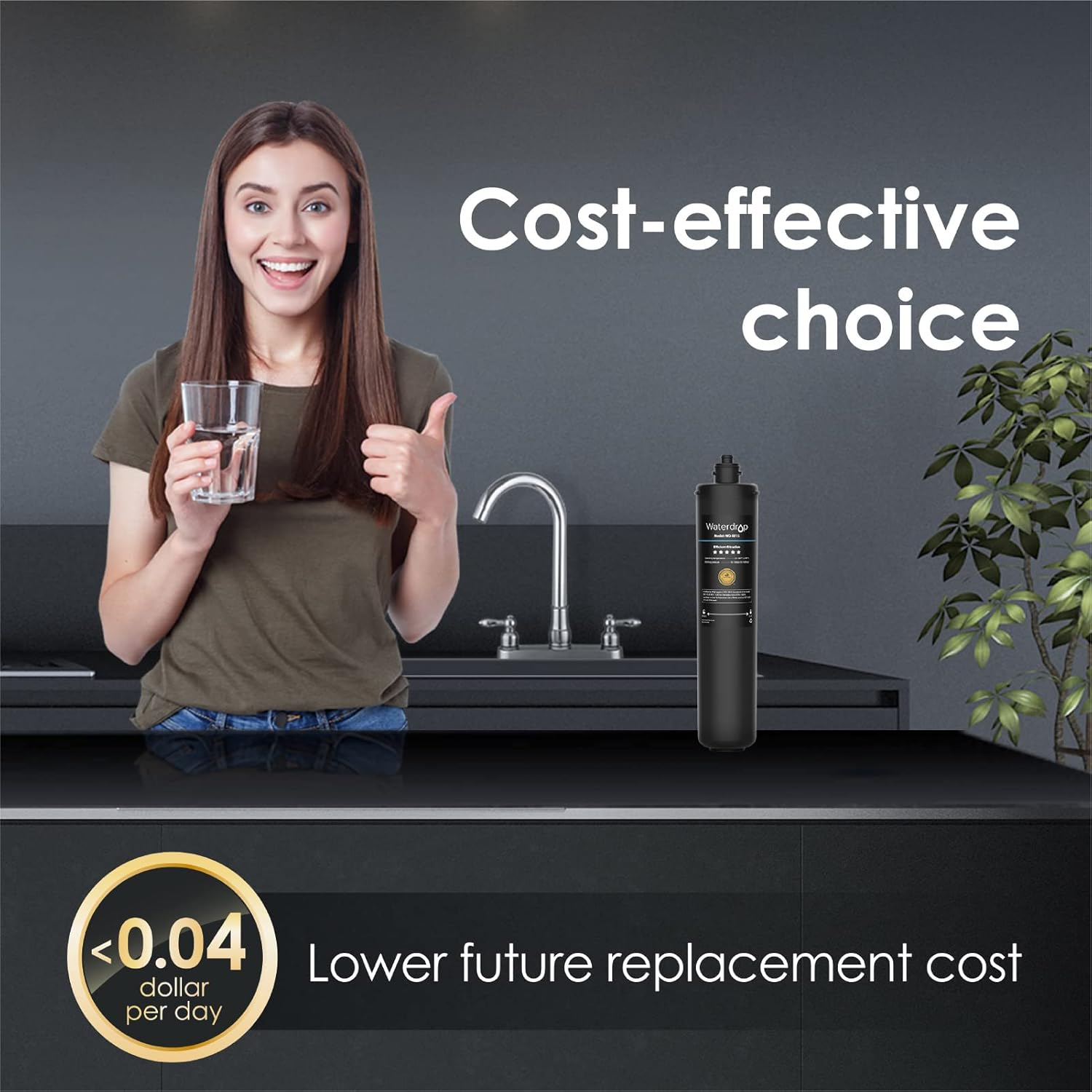 Waterdrop RF15 Replacement Filter